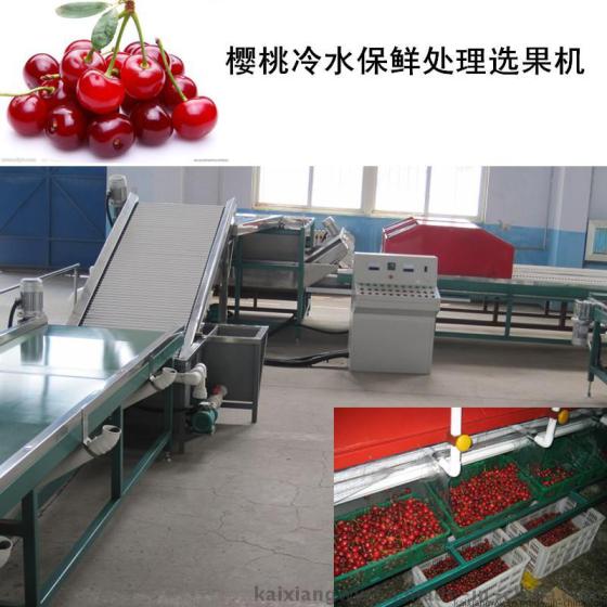 樱桃预冷分选机，樱桃清洗机，中国第一台樱桃产后处理设备生产厂家