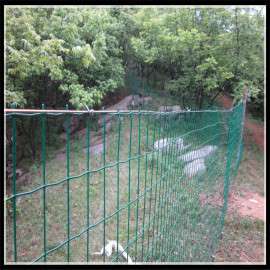 安平富凯圈果园围栏网|围栏网|果园围栏网规格