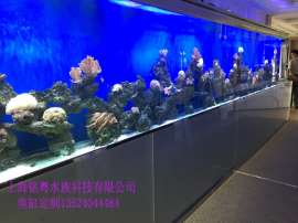 苏州鱼缸工厂承接大型玻璃鱼缸工程 会所海水鱼缸
